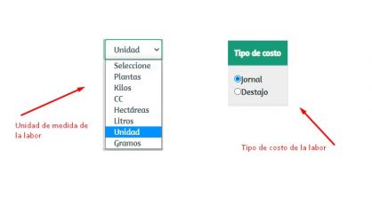 Unidades de medida.jpg